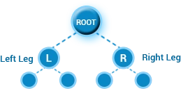 Binary MLM Plan Diagram
