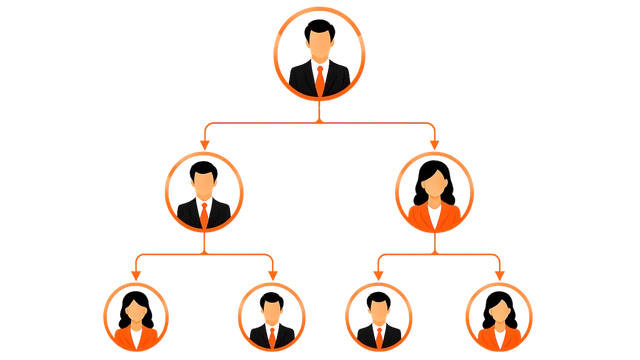 binary mlm plan