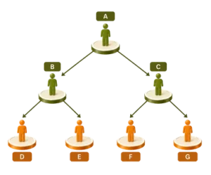 mlm plan